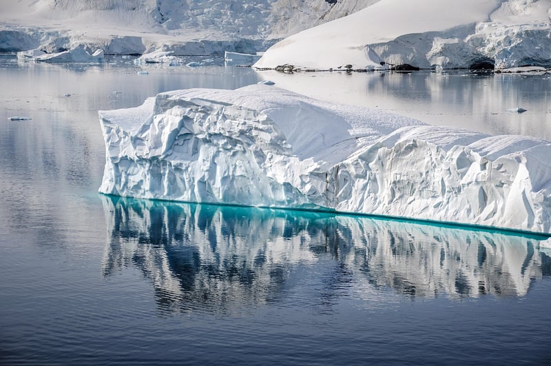 Frozen Landscape
