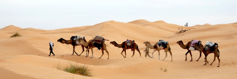 Bedouin Camp